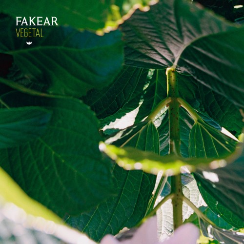 Vegetal: Offshoots EP - 